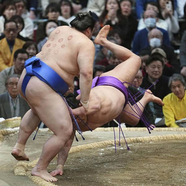 相撲　カッピング